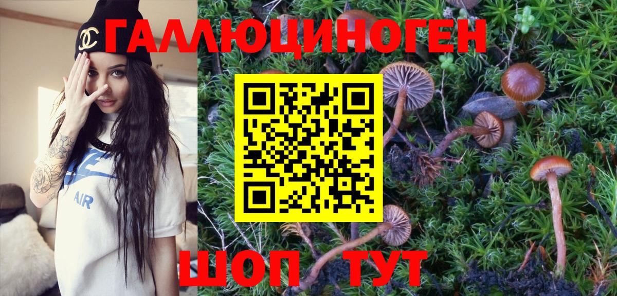 Псилоцибиновые грибы Magic Shrooms Вологда