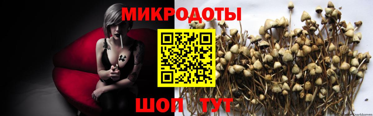 Псилоцибиновые грибы ЛСД  Галлюциногенные грибы Magic Shrooms  Вологда  Вход с VPN 