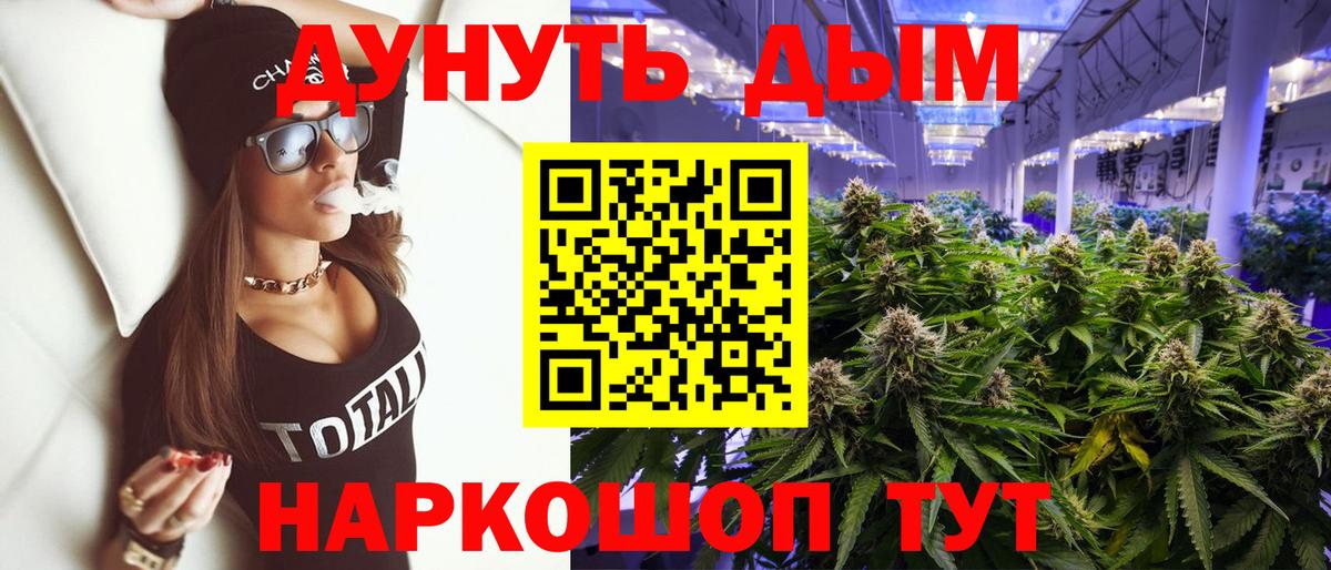 Каннабис гибрид Вологда
